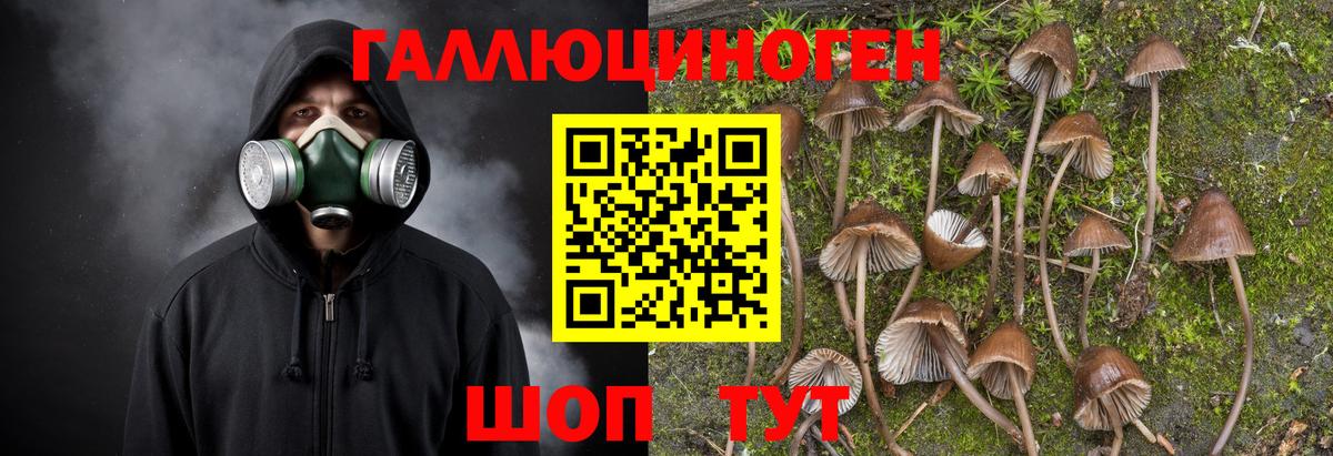 Псилоцибиновые грибы Psilocybe  Вход с VPN  Магнитогорск 